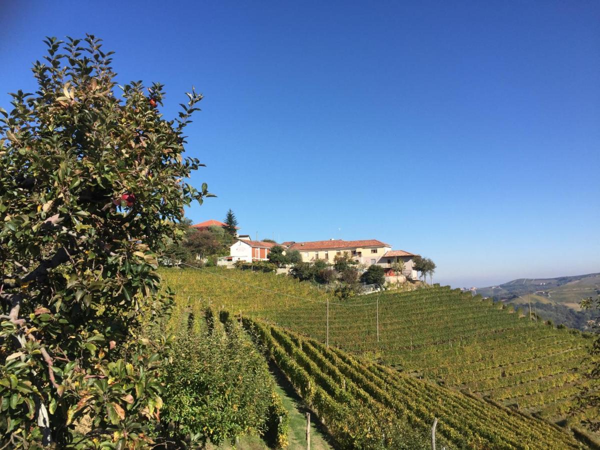 Bauernhof Finestre Di Langa